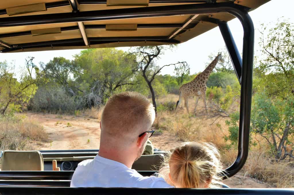 Safari