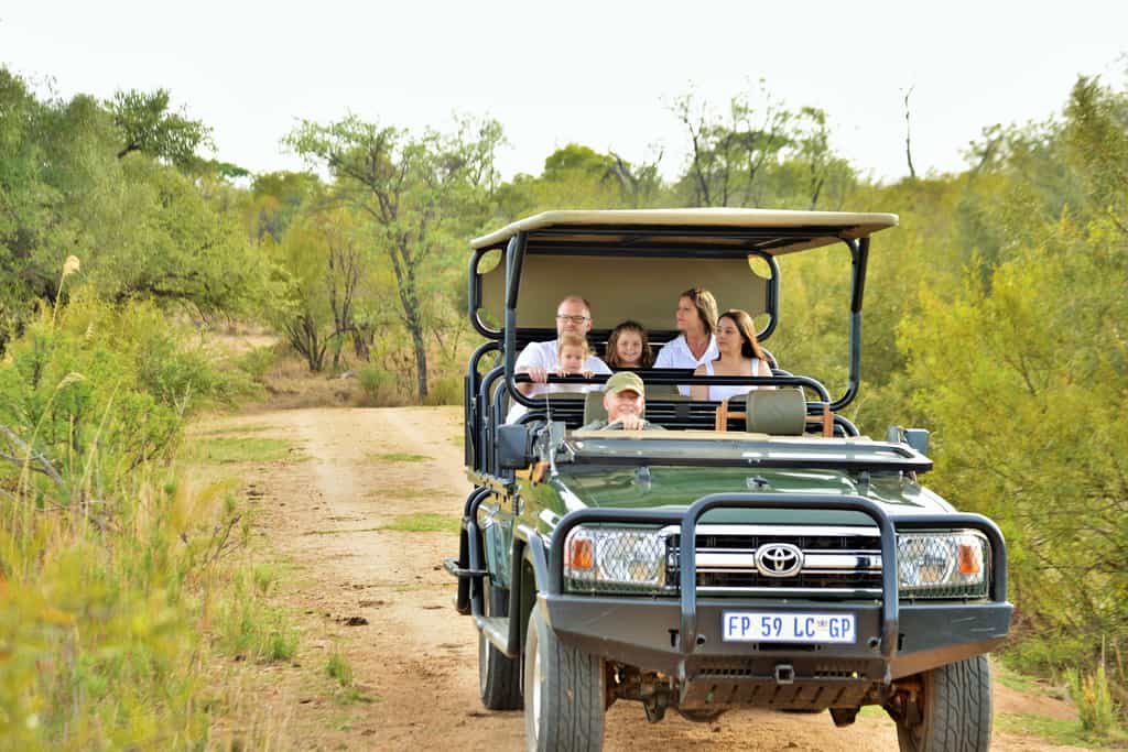 Safari