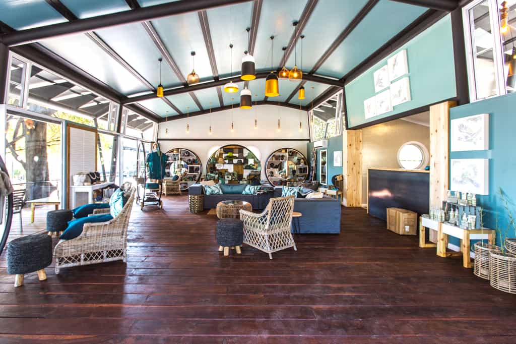 Curio shop 