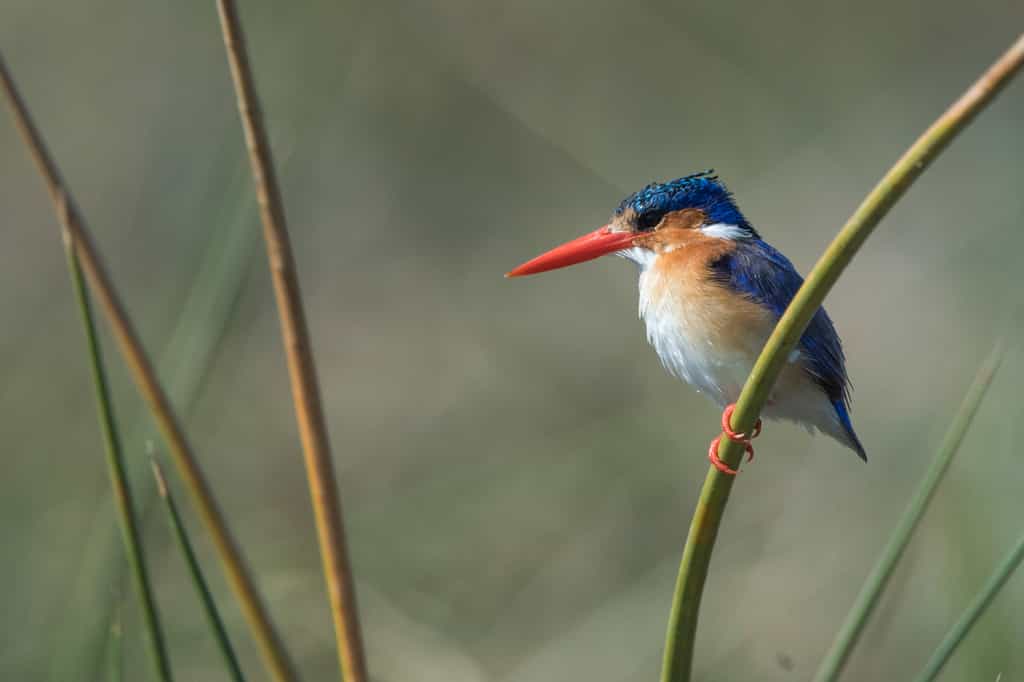A bird lovers paradise