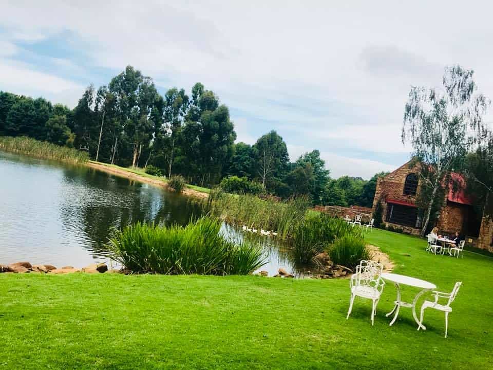 Lake view