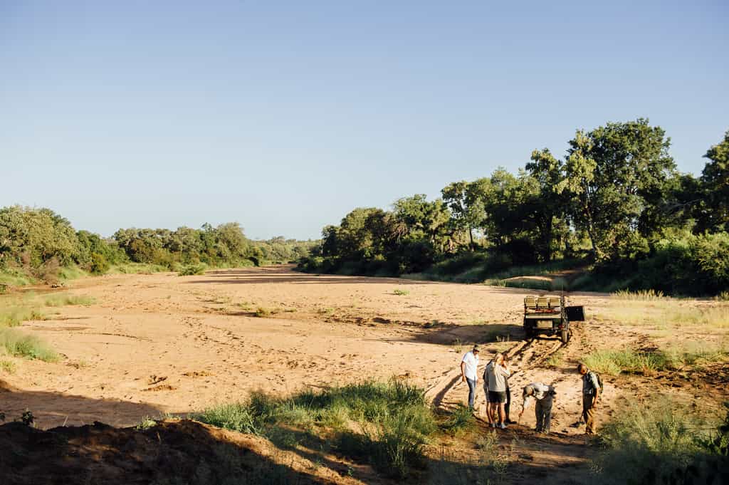 Tracking on a game drive
