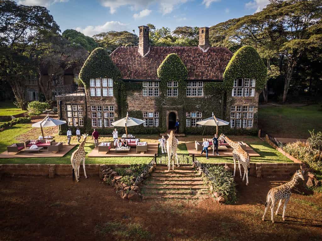 Afternoon Tea at Giraffe Manor
