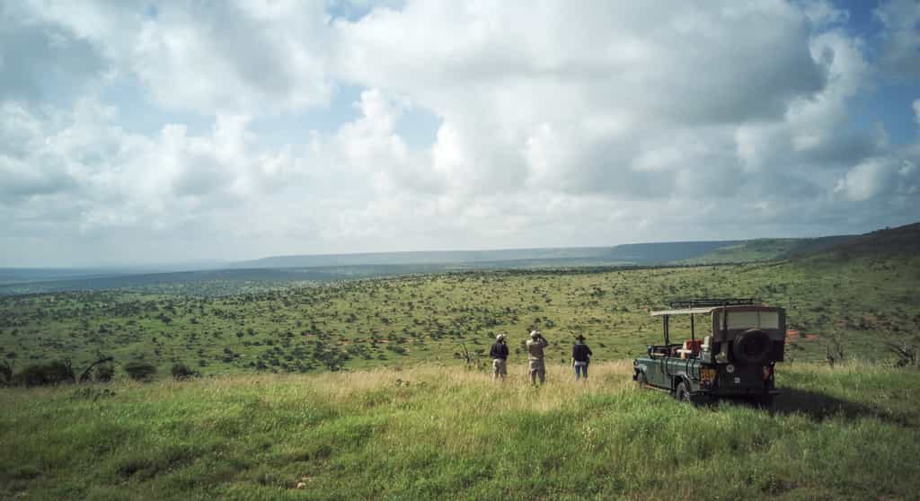 Game drives in the Private Conservancy