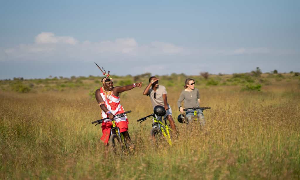 Exhilarating biking in the bush