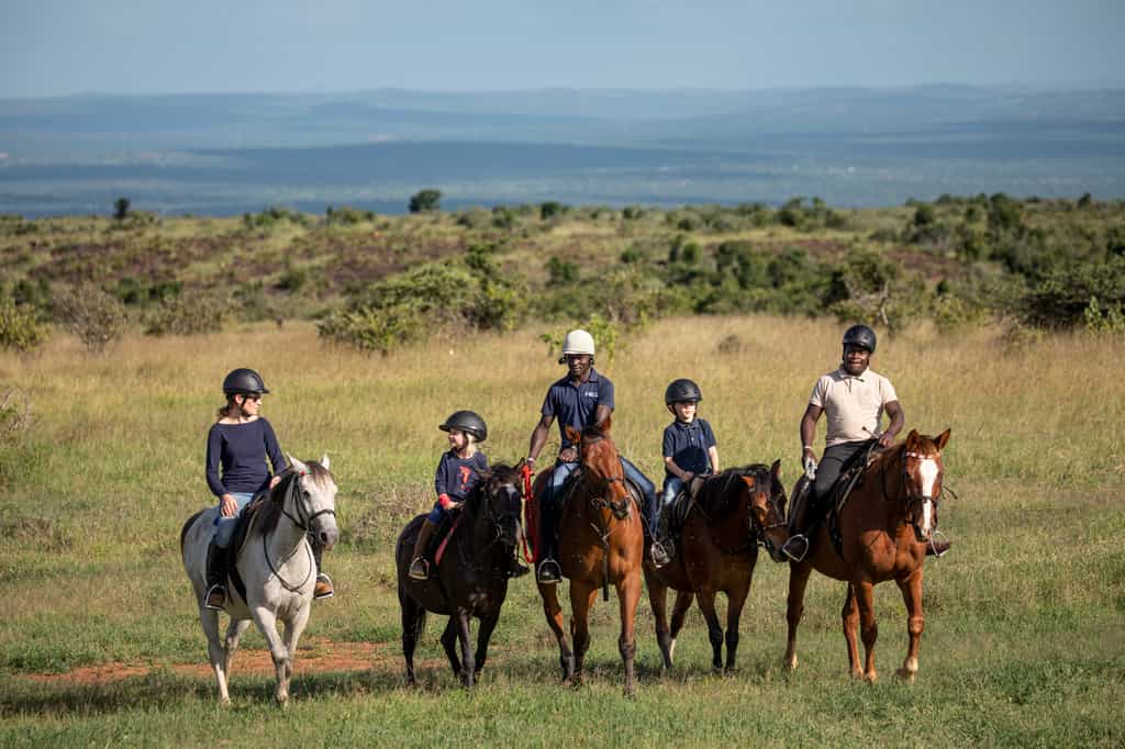 Horse Riding