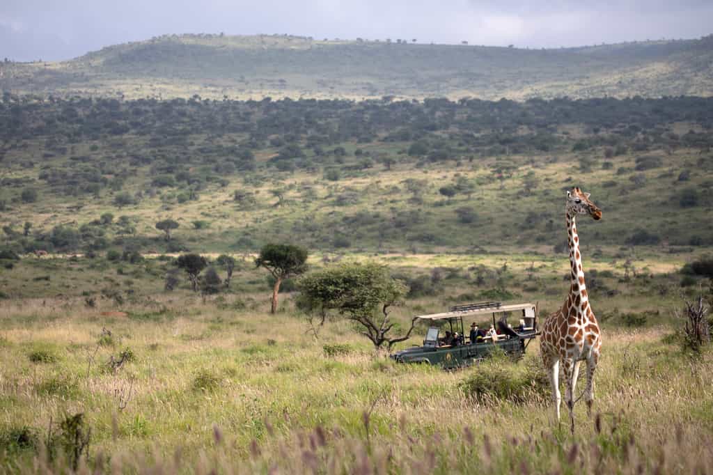 Game drives