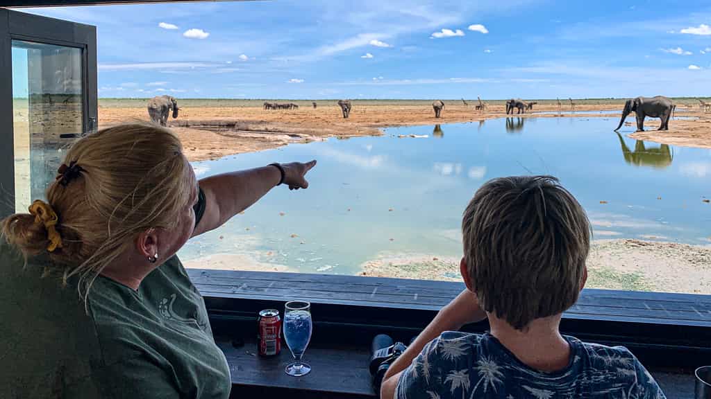 Etosha King Nehale activity: Guided drive into Etosha National Parc