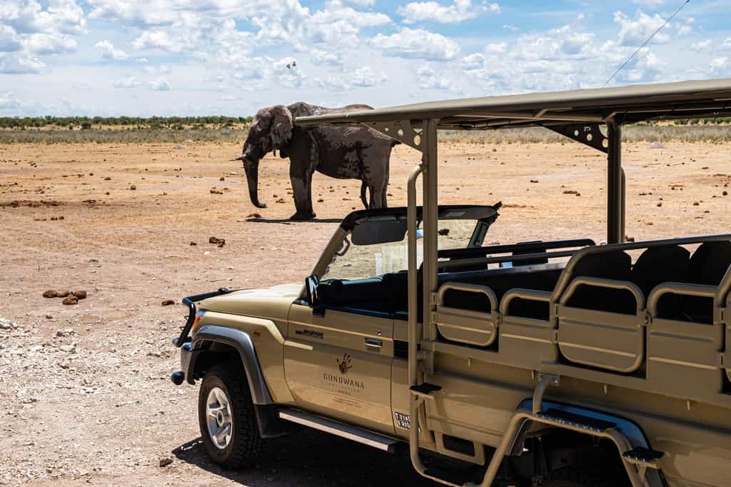 Etosha King Nehale activity: Excursion to the Ontelelo outpost