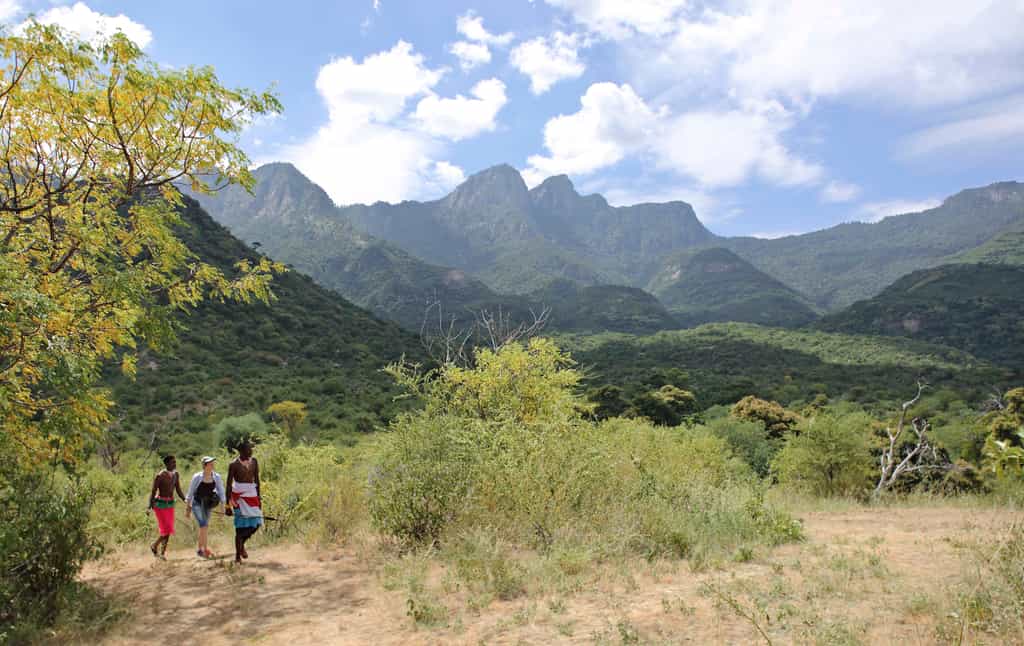 Bush Walk