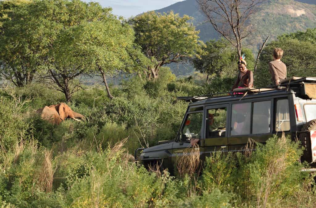 Game drive