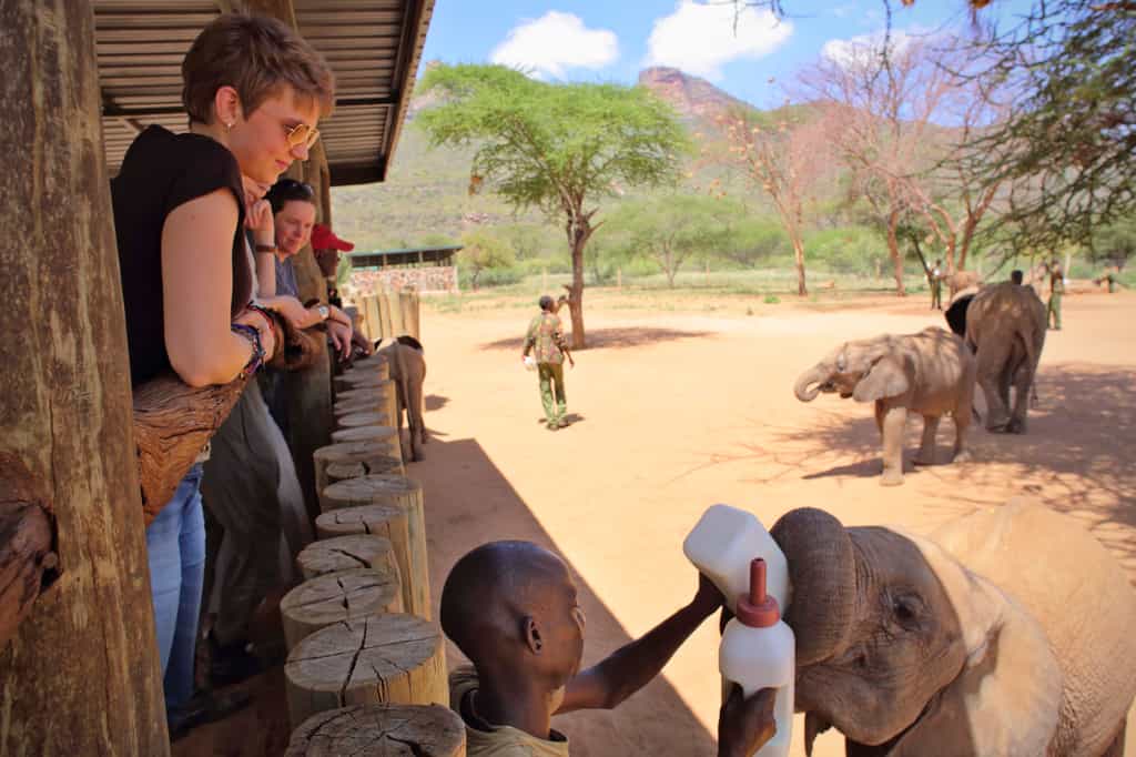 Reteti Elephant Sanctuary