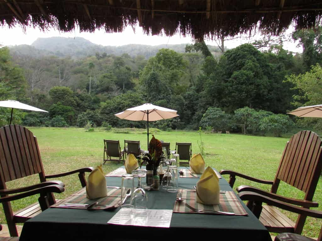 View from the bar & restaurant 