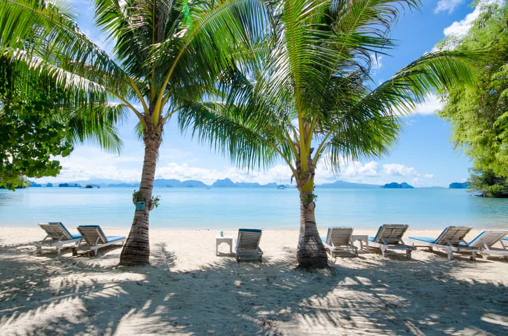 The Beach
