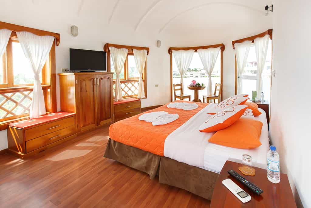 One king size bed