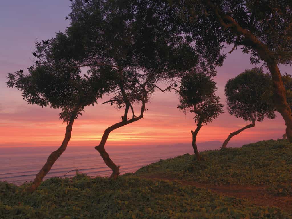 Sunset in Lima 