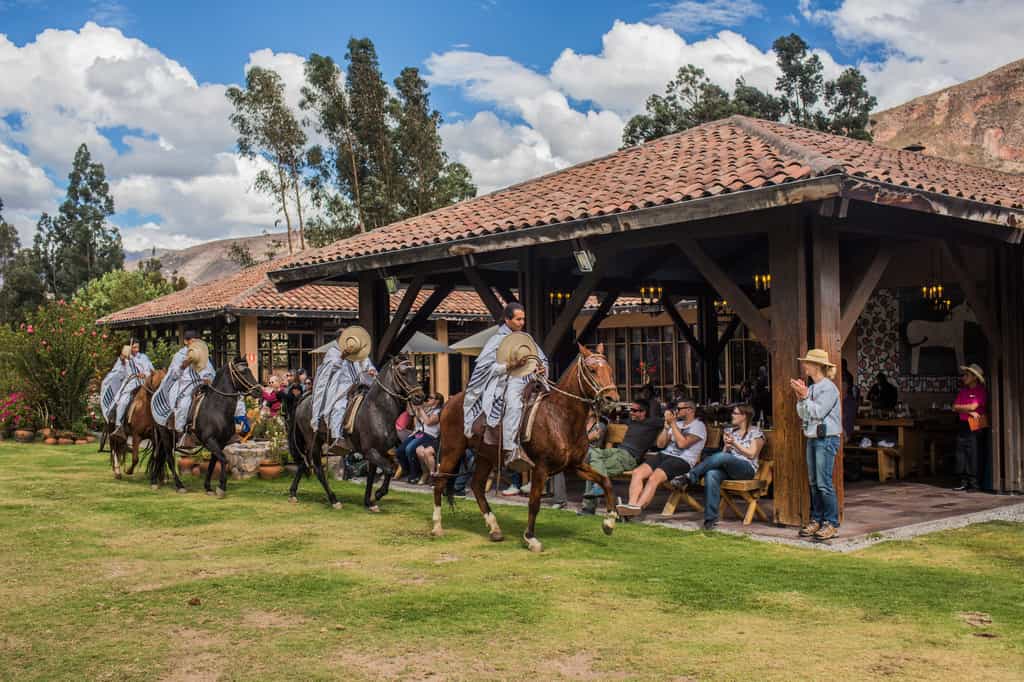 Peruvian Paso Horses  Show at Wayra