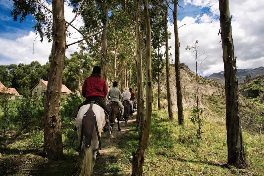 Horseback riding 