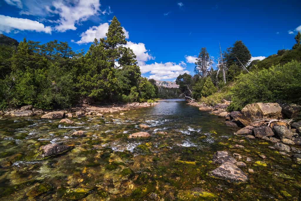 Grounds of Río Hermoso Hotel
