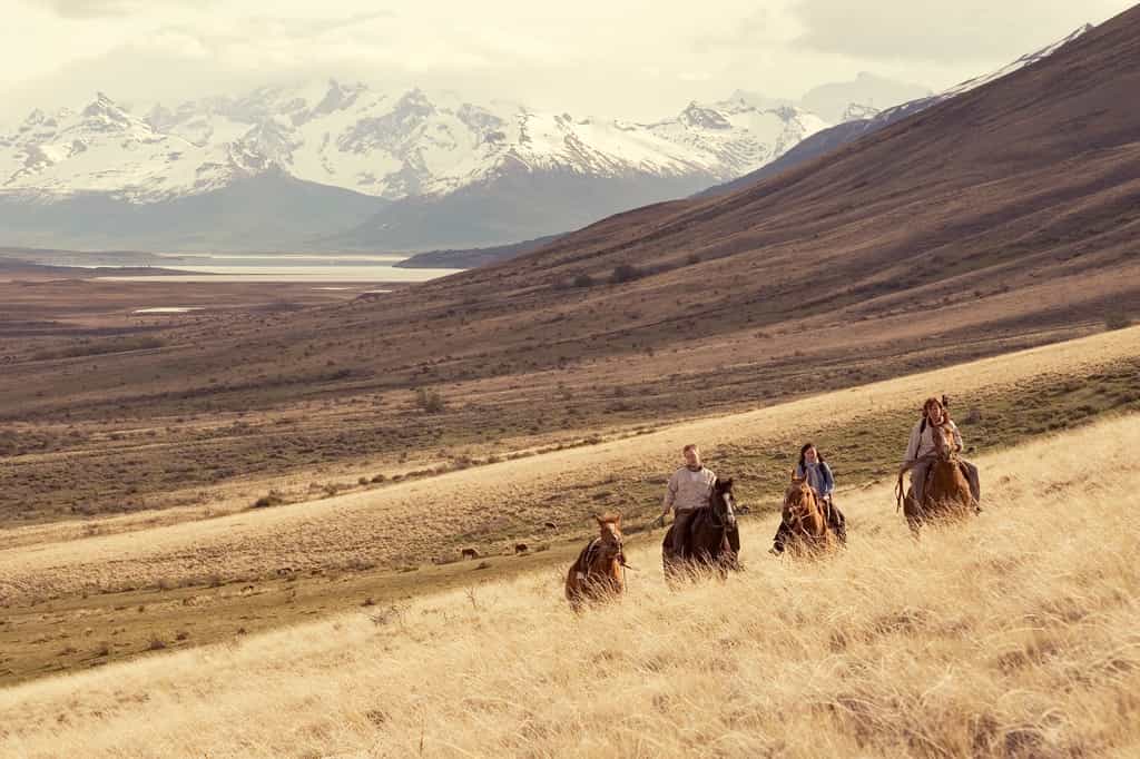 Horseback riding, main activity within the property 