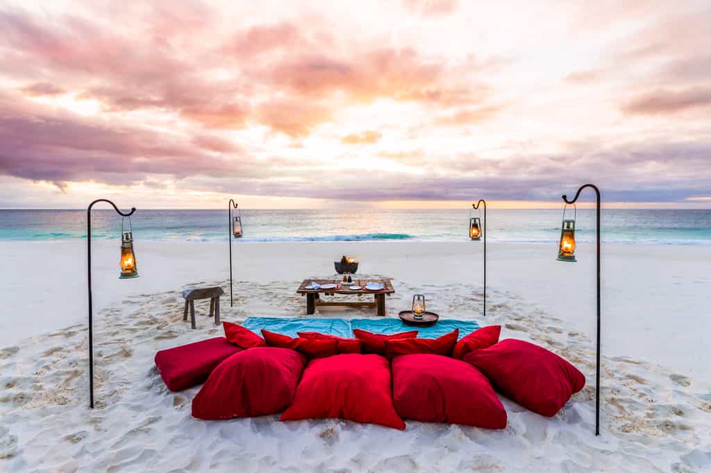 Beach Dinner