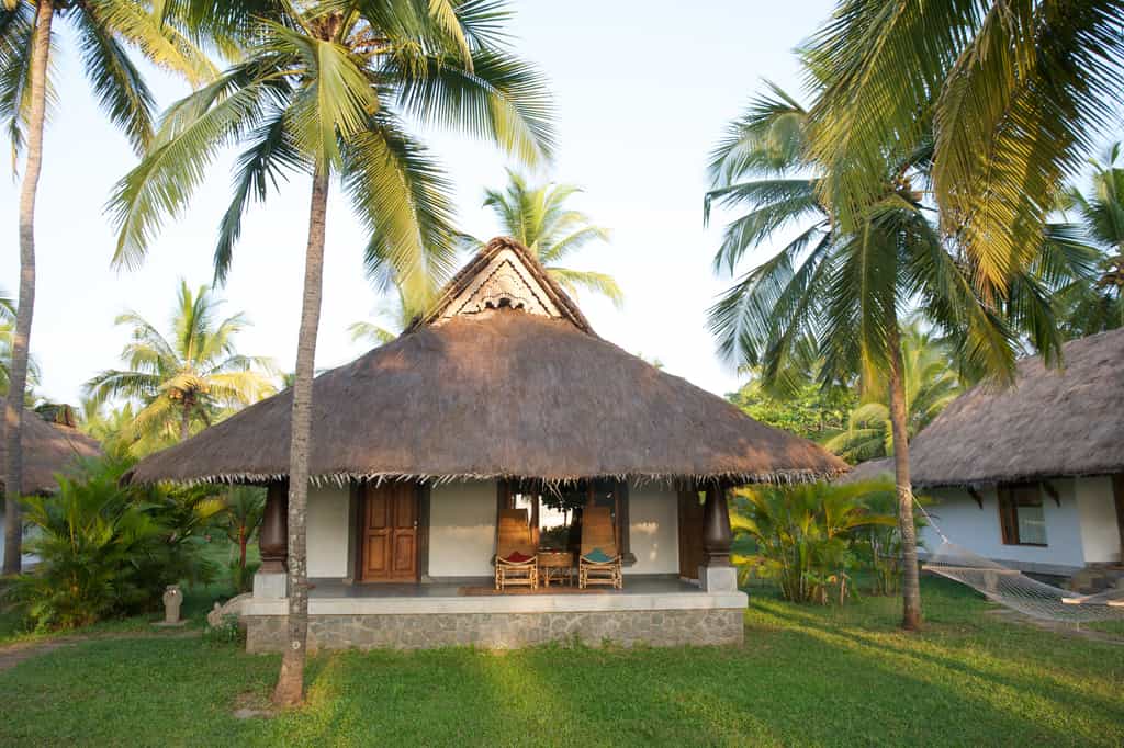 Sea View Cottage