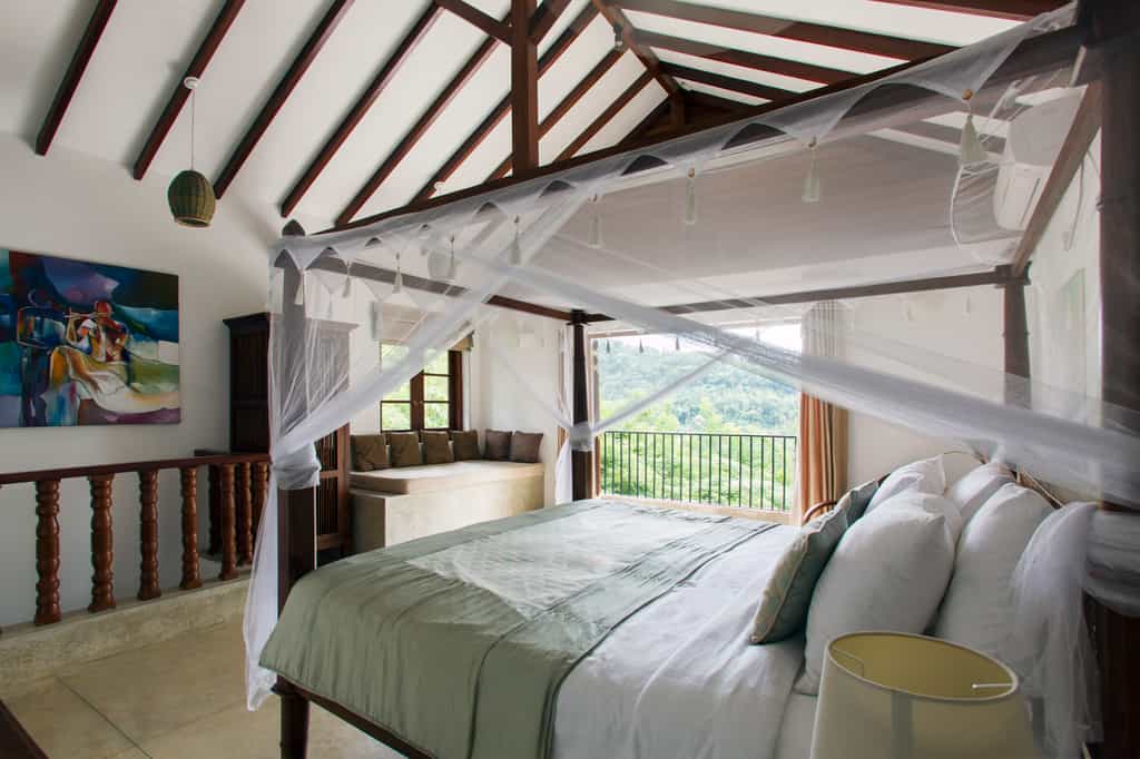 Deluxe Rooms 