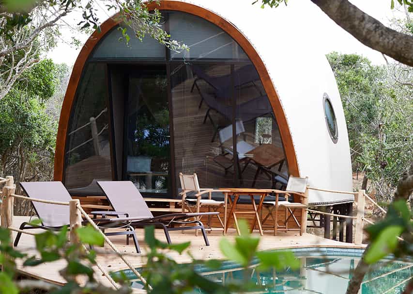 Cocoon Pool Suite