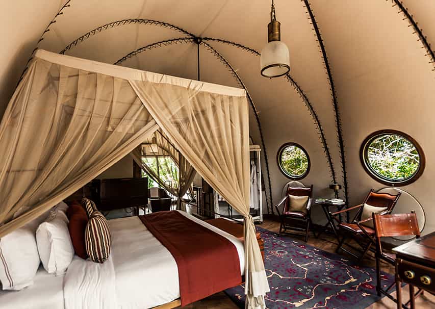 Cocoon Pool Suite