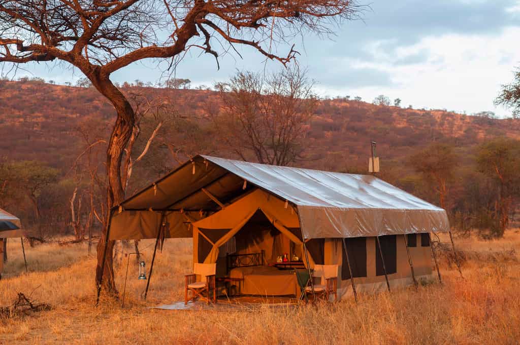Double tent