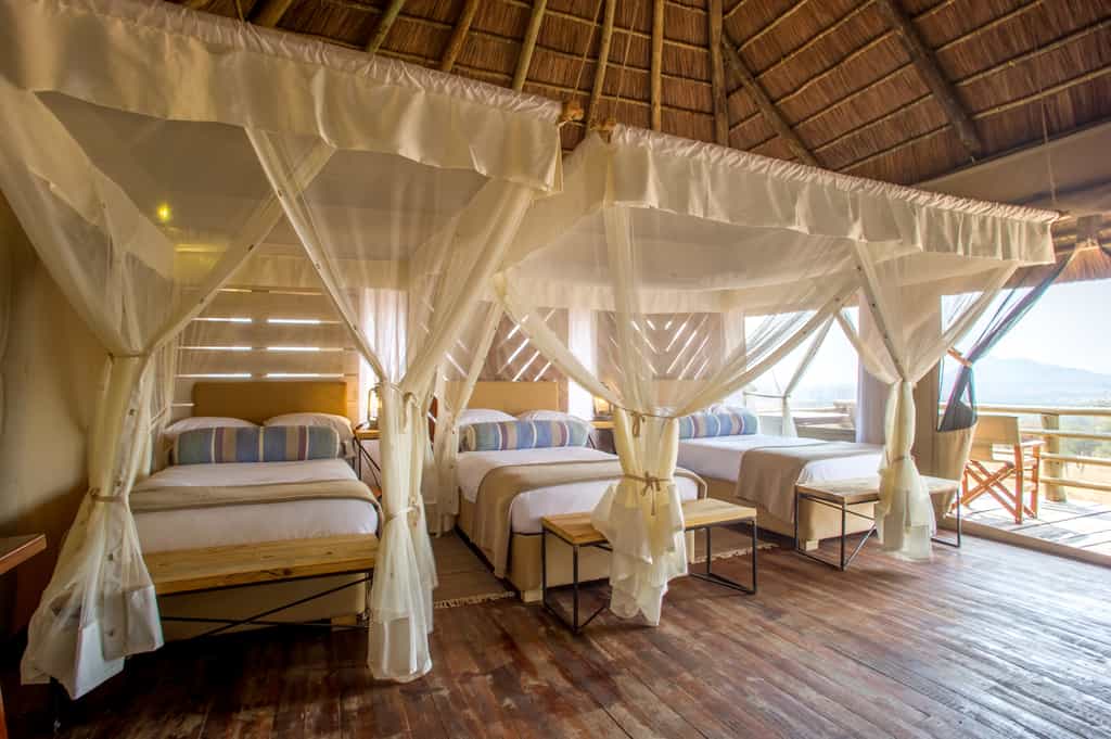 Family Suite Tent