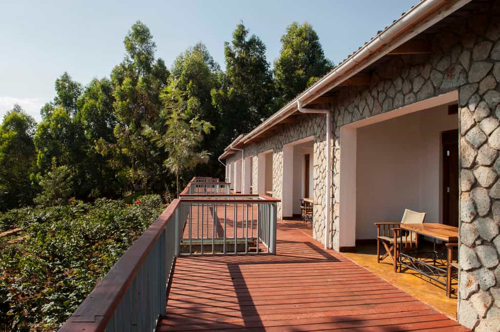 Garden View room