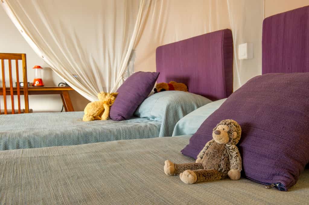 Family suite room