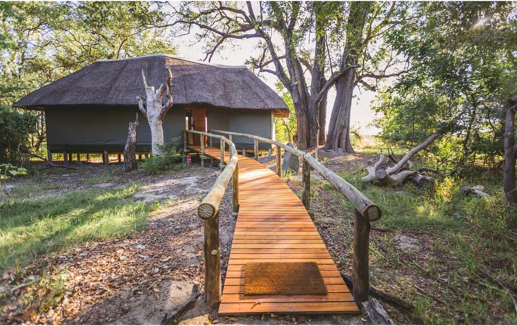 Luxury Family Safari Tent