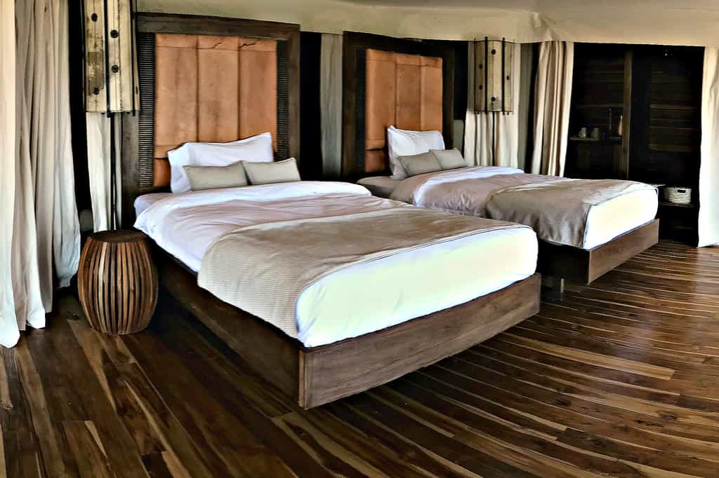 Twin Suite