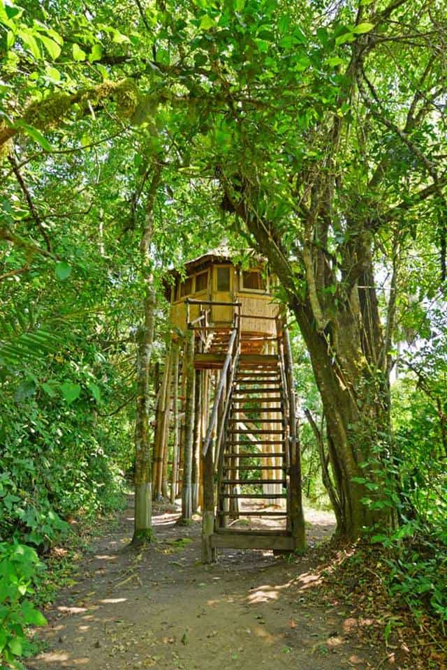 Sky Tree House