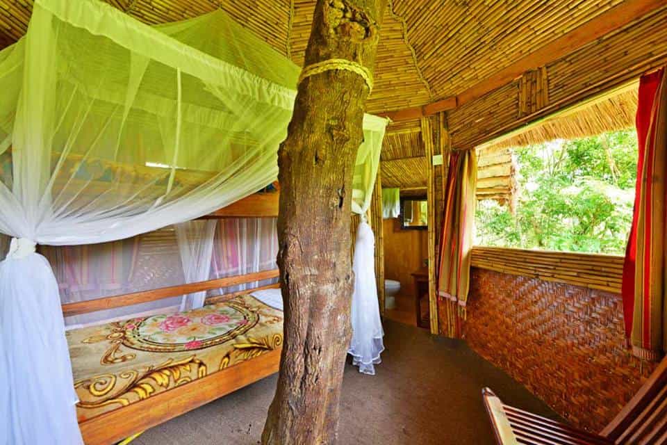 Sky Tree House