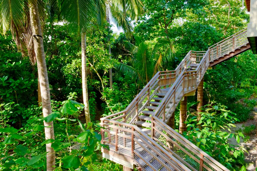 1 and 2 Bedroom Wellness Tree house 