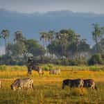 Charming and knowledgeable - organised the perfect honeymoon in Botswana