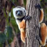 Madagascar