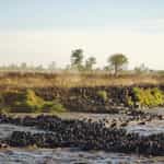An Incredible Safari Experience Thanks to Timbuktu Travel