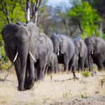 Excited by Southern Africa