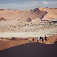 Best trip we've ever taken. Highly recommend Namibia and Timbuktu!
