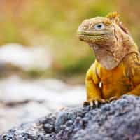 Our Peruvian Adventure