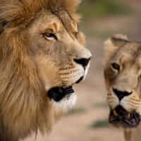 Best Trip Ever!