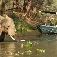 South Africa/Zambia/Seychelles