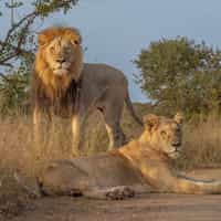 The Africa trip of a lifetime