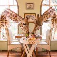 Timbuktu is the best international travel agency I’ve ever worked with!