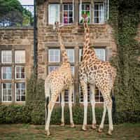 Kenya is amazing!!!!!!
