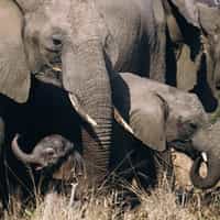 Timbuktu creates bucket list holiday